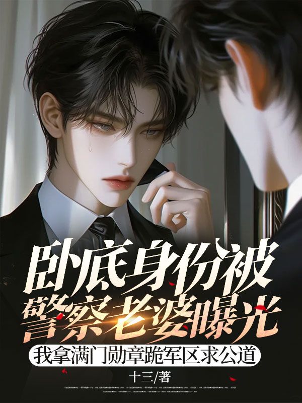 卧底身份被警察老婆曝光，我拿满门勋章跪军区求公道小说（十三）顾晨柳闻溪陈肆小说在线连载中